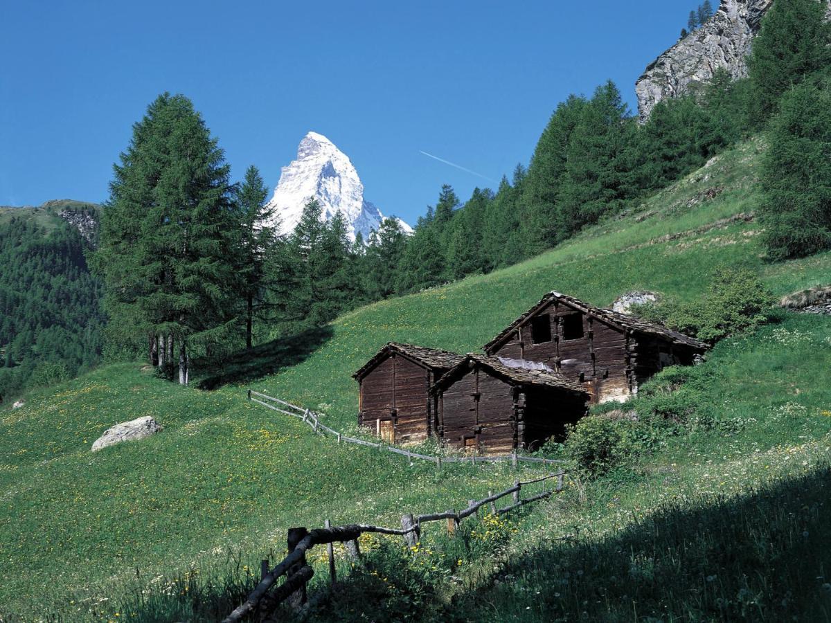 Apartment Bodmen A By Interhome Zermatt Exterior foto